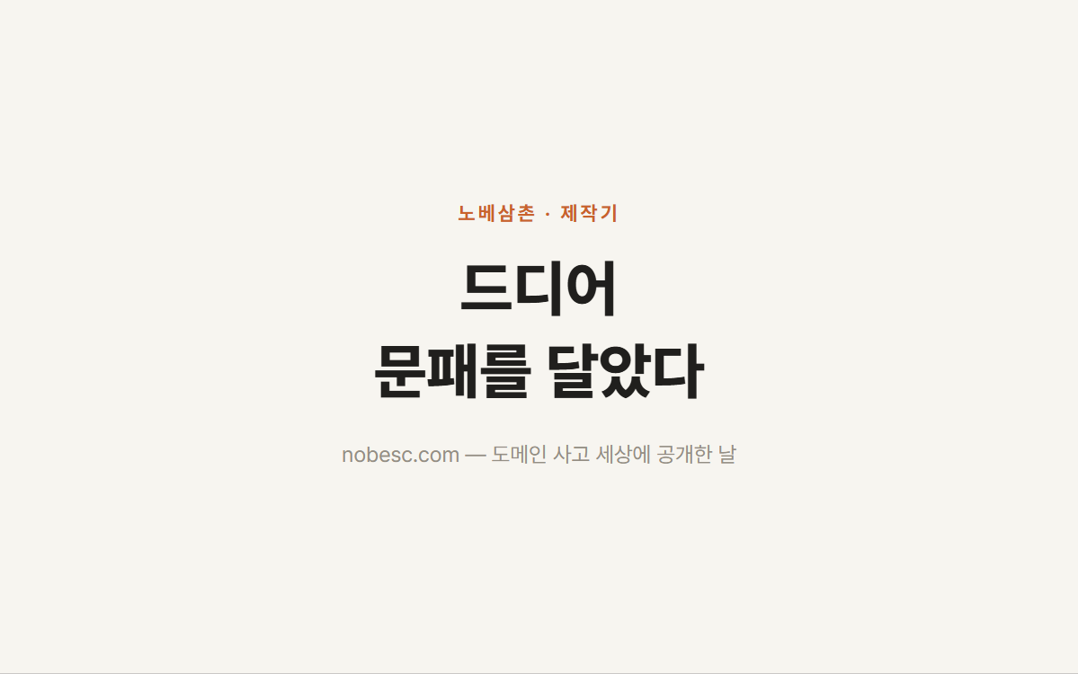 드디어 문패를 달았다 - 도메인 사고 세상에 공개한 배포기